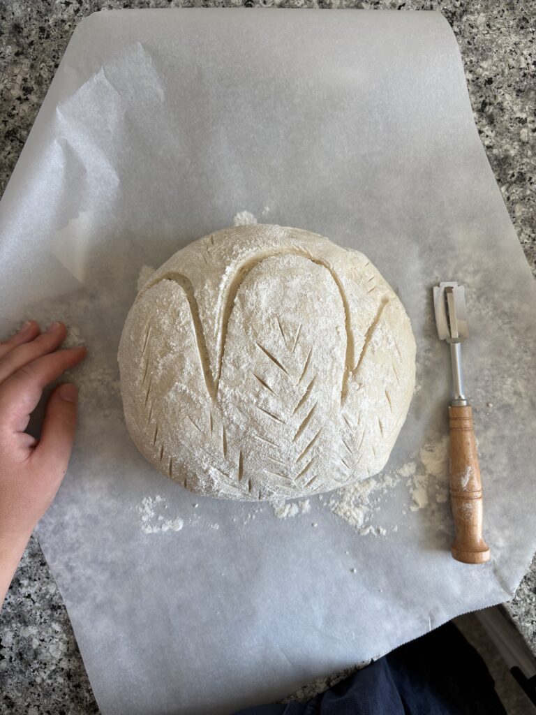 Scoring the sourdough boule.