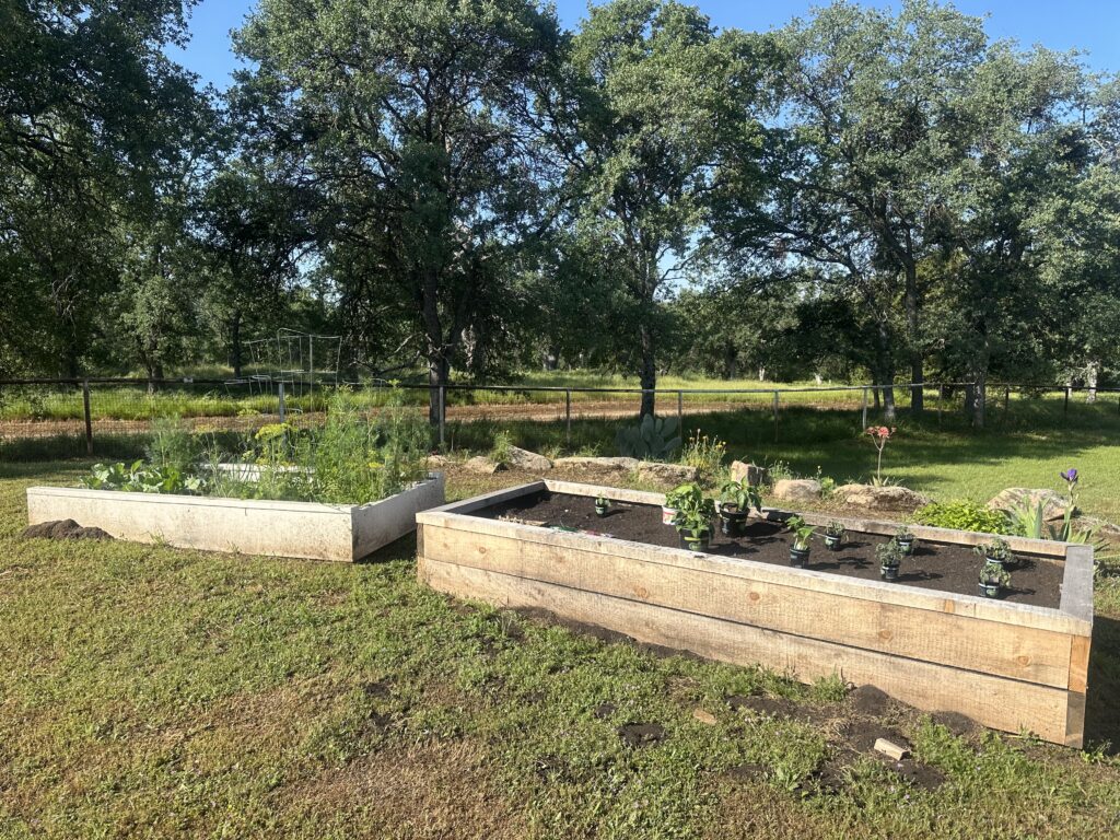 two raised garden beds in the yard
