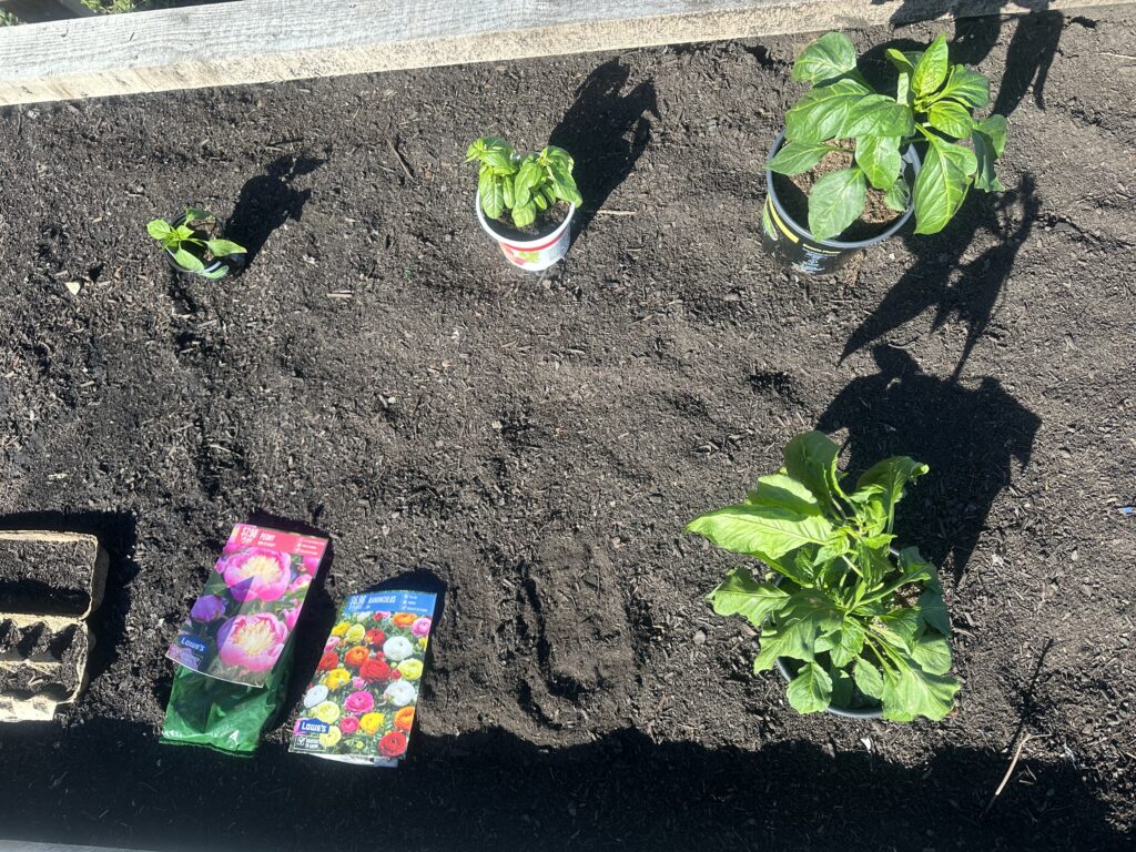 flowers and other plants in the garden