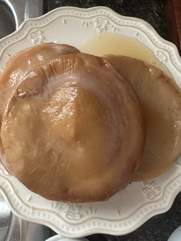 SCOBY from kombucha