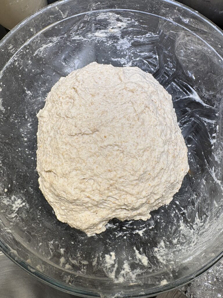 The dough is now ready for the stretch and folds.