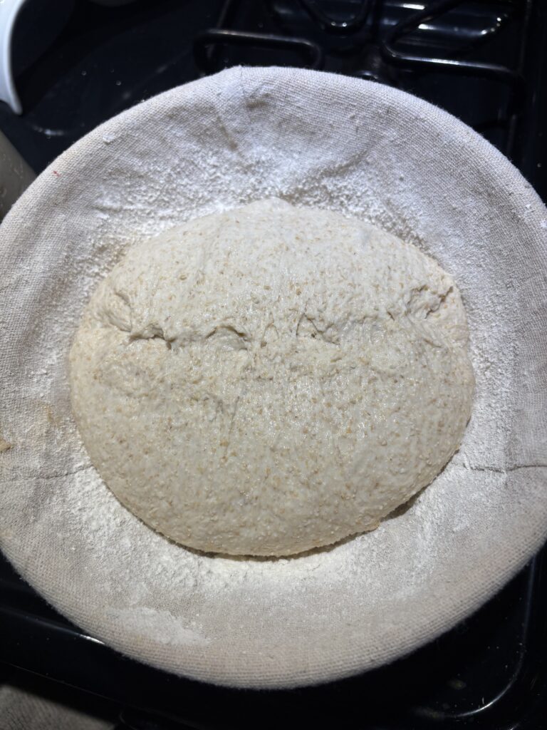 The dough is now shaped and ready to be in the banneton in the fridge.
