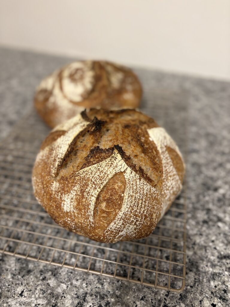 Two loaves with freshly milled flour freshly baked on a wire rack.