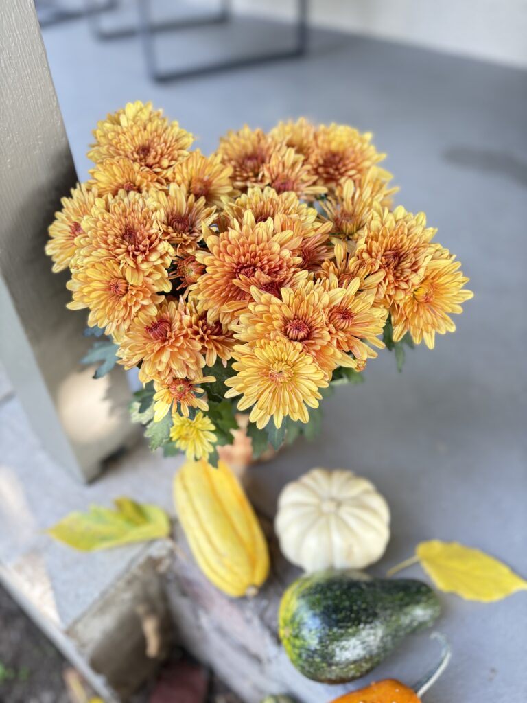 The orange mums close-up shot.