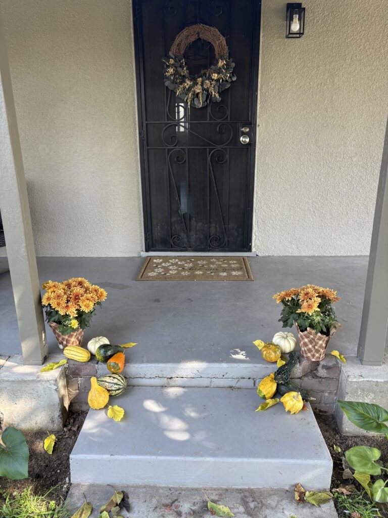 This is how my front porch looked from a further pov.