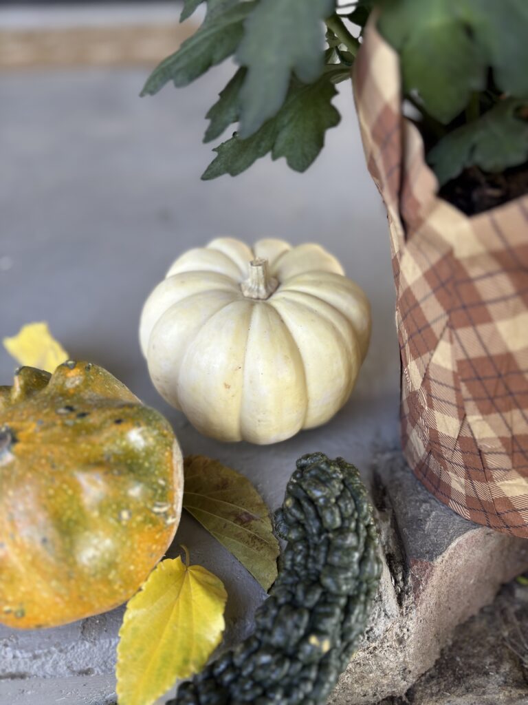 The white pumpkin I used for decor.