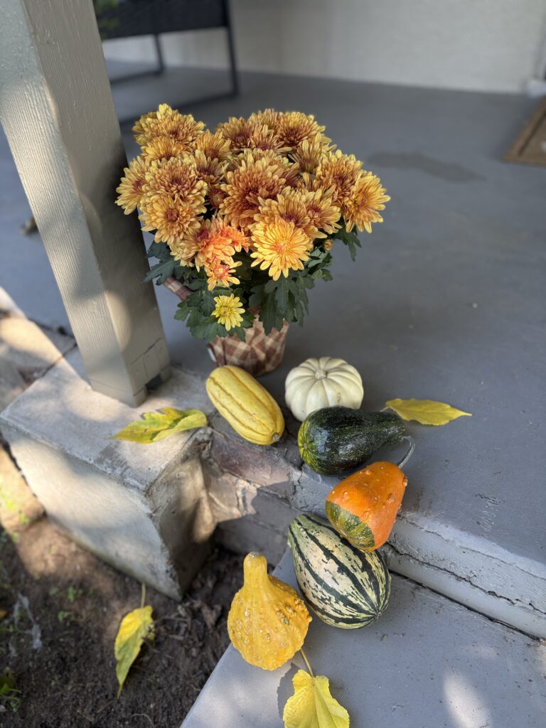 Up top view of the steps.