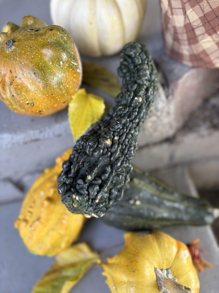 More pics of the gourds.