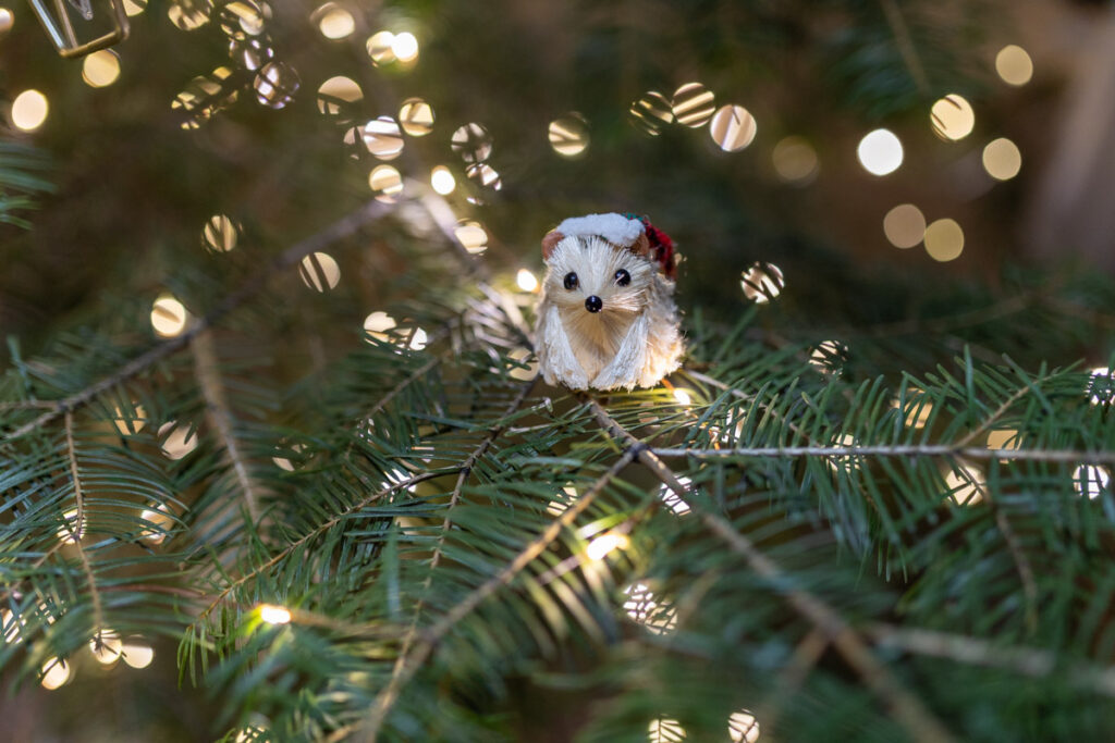 little hedgehog ornament on a tree