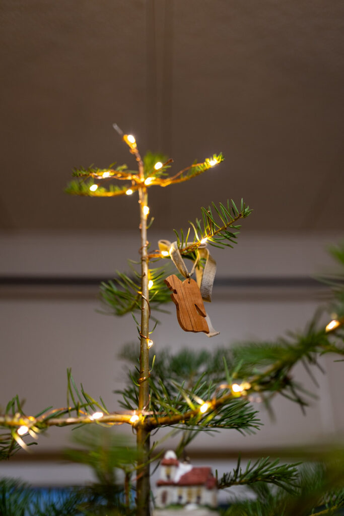 the top of the tree