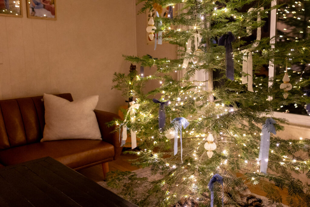 bottom potion of the tree