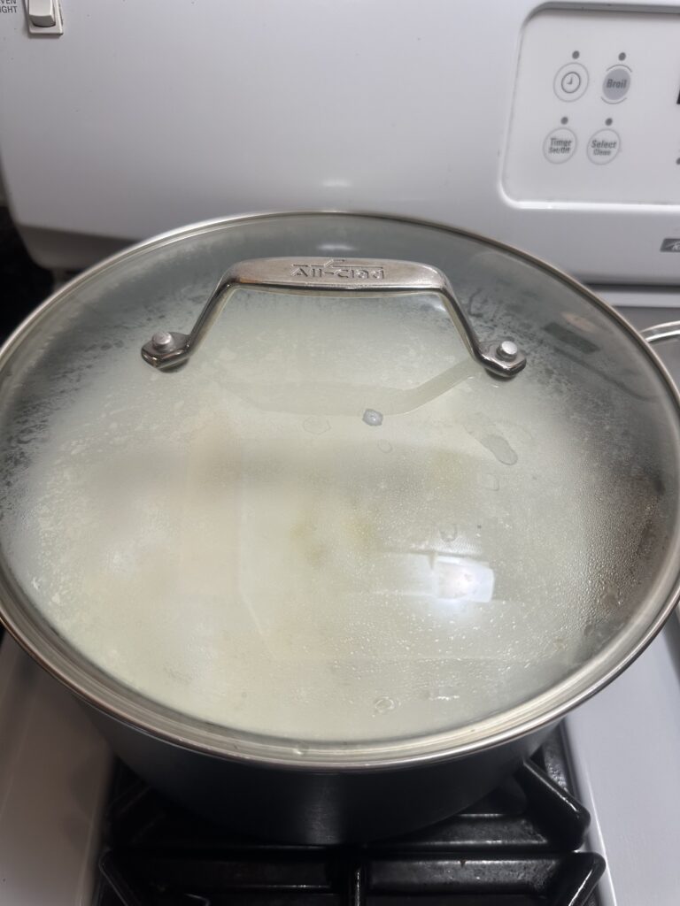 covered pot with cottage cheese inside