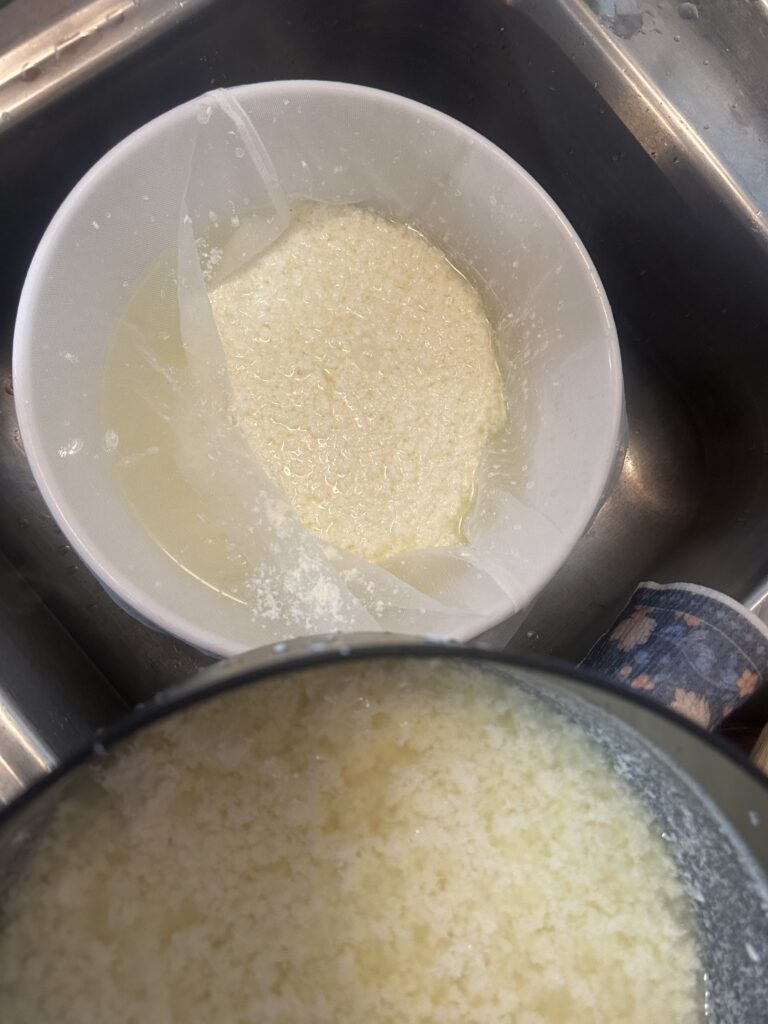 pouring the cottage cheese and whey into the prepared cheesecloth over a bowl