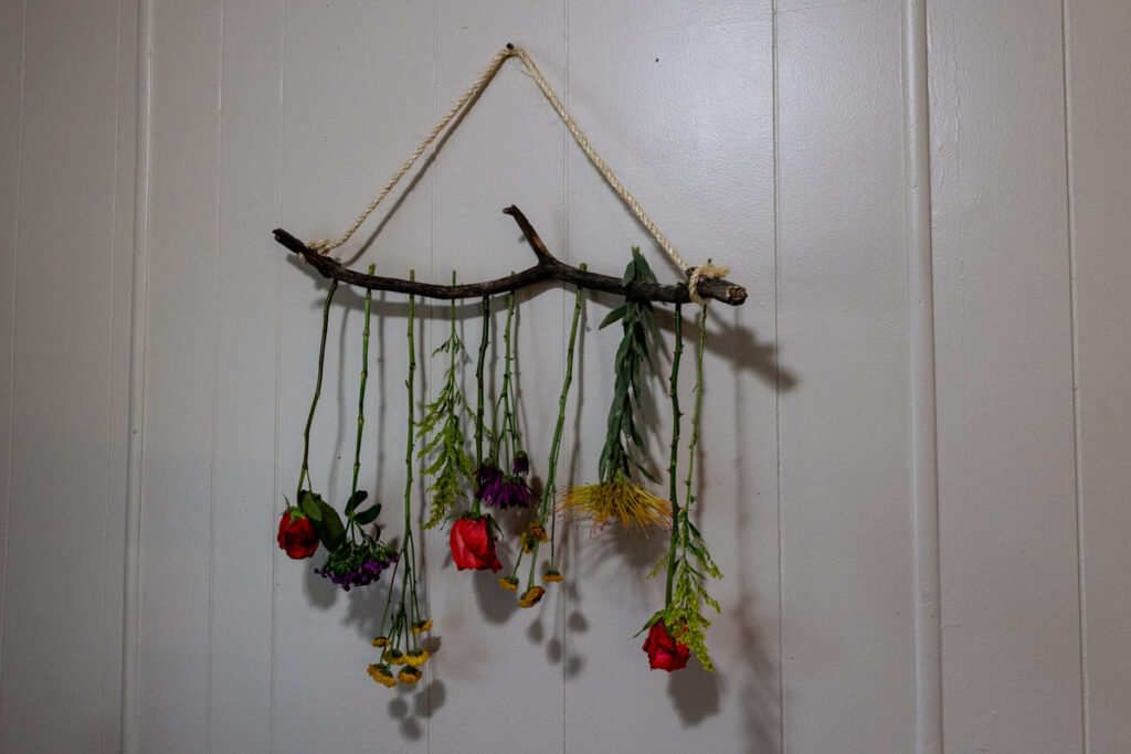 far away shot of flowers drying on a branch