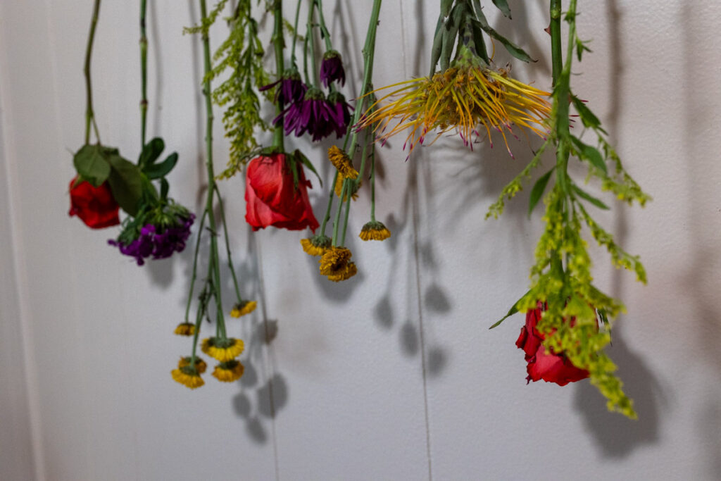 flowers hanging on branch