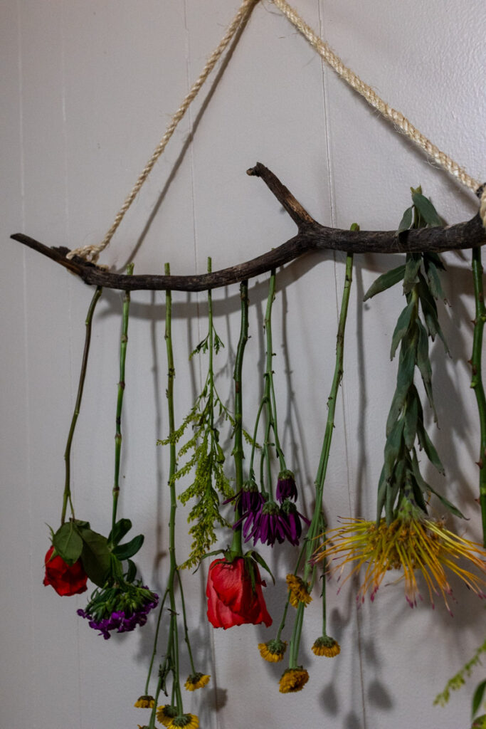 diy dried flower wall decor