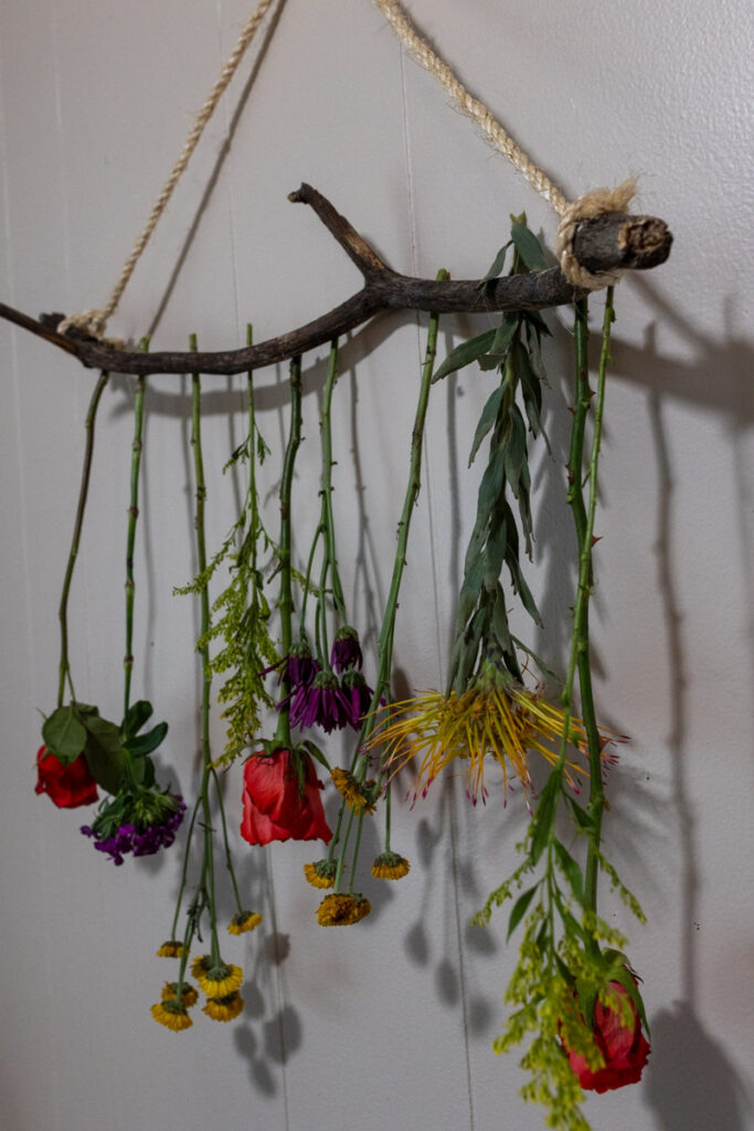flowers hanging upside down on a branch on a wall