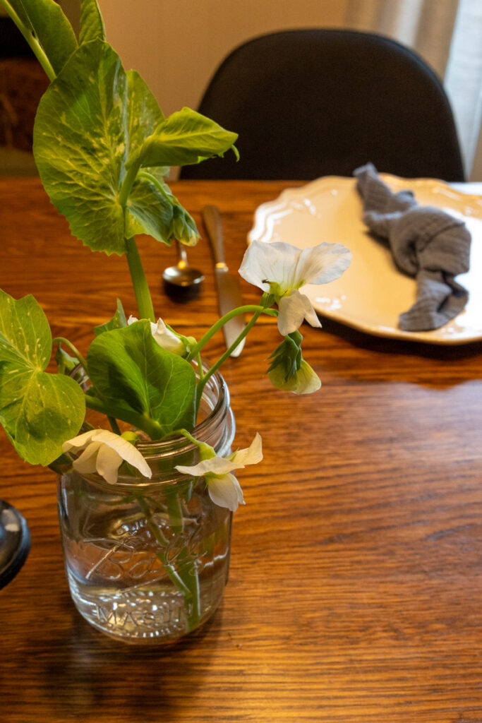 sweet pea flowers in a mason vase on the table