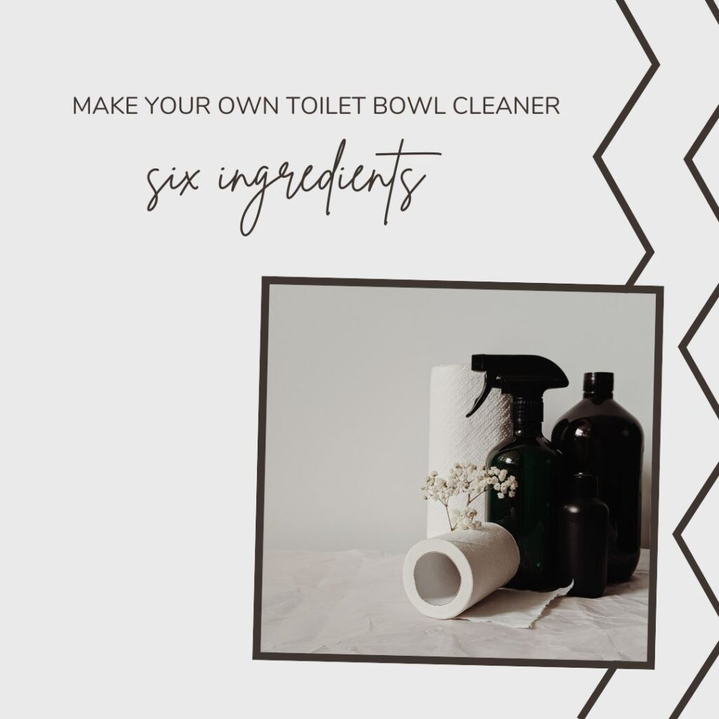 make your own toilet bowl cleaner