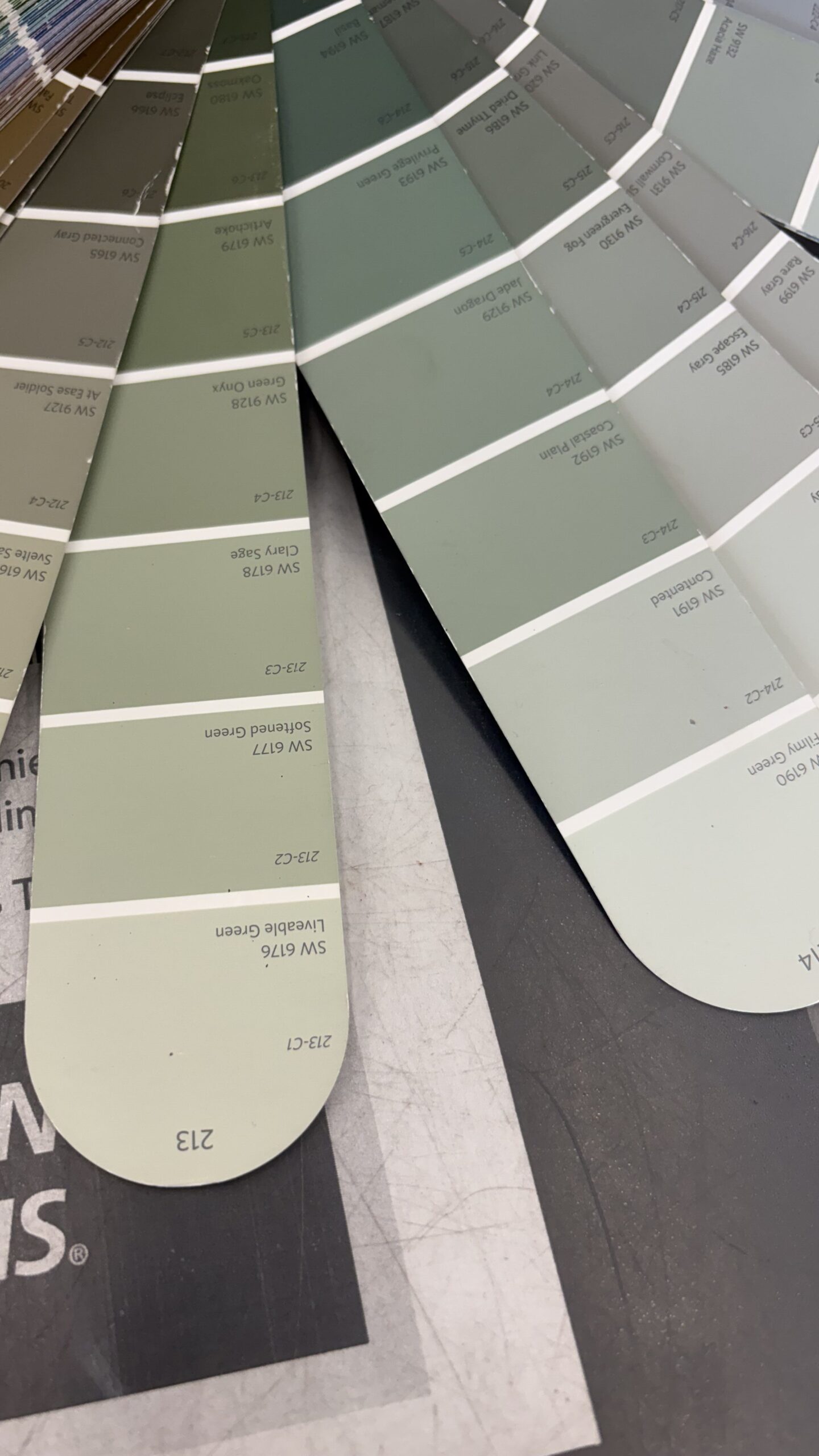 All the colors we were choosing from.